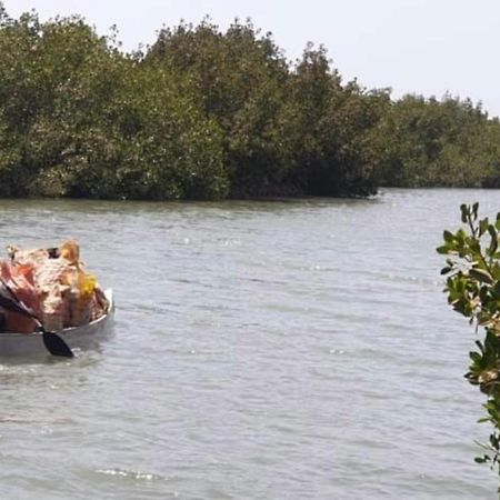Mangrove Beach Sanyang Kültér fotó