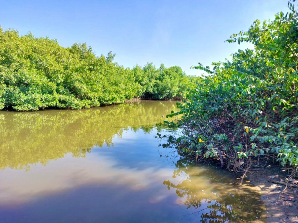 Mangrove Beach Sanyang Kültér fotó