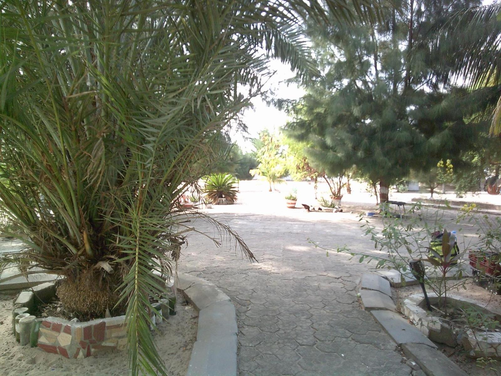 Mangrove Beach Sanyang Kültér fotó