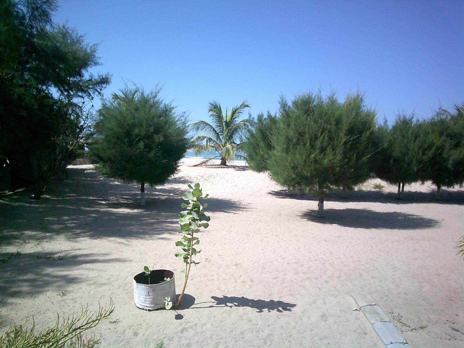 Mangrove Beach Sanyang Kültér fotó