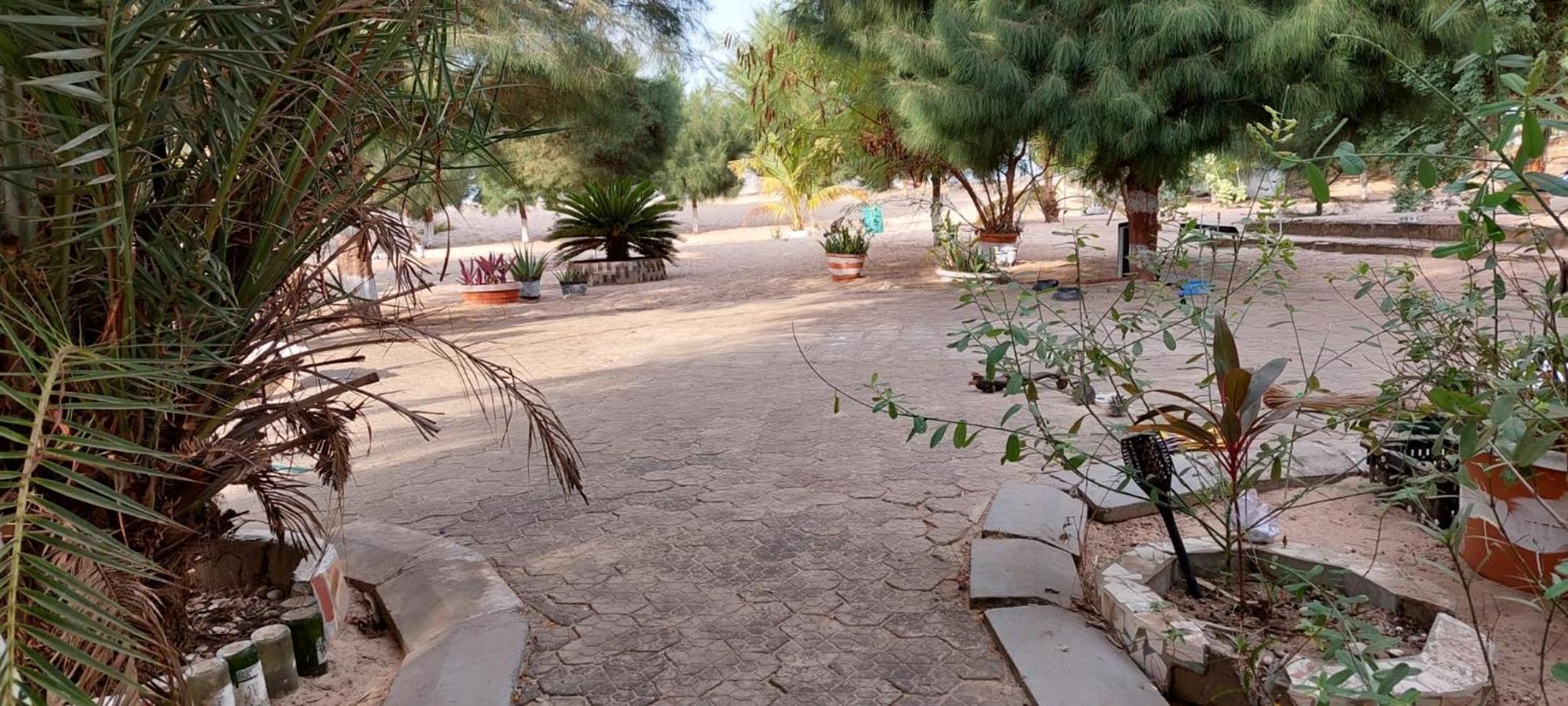 Mangrove Beach Sanyang Kültér fotó