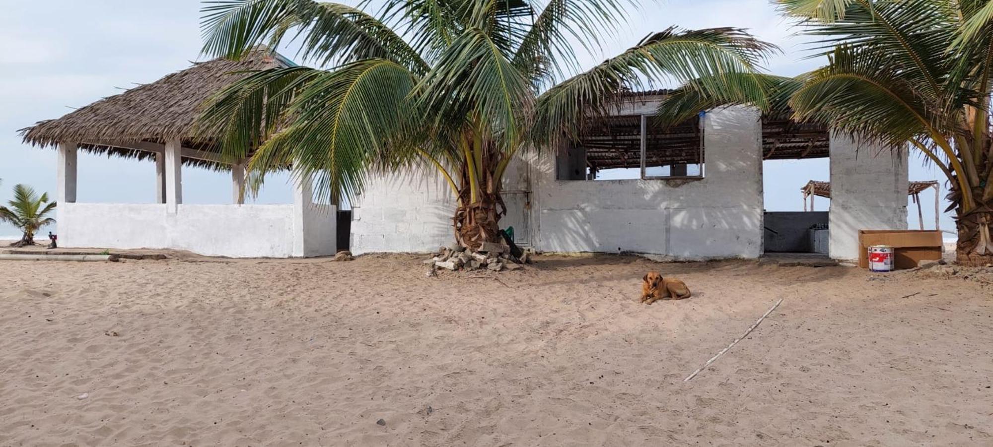 Mangrove Beach Sanyang Kültér fotó