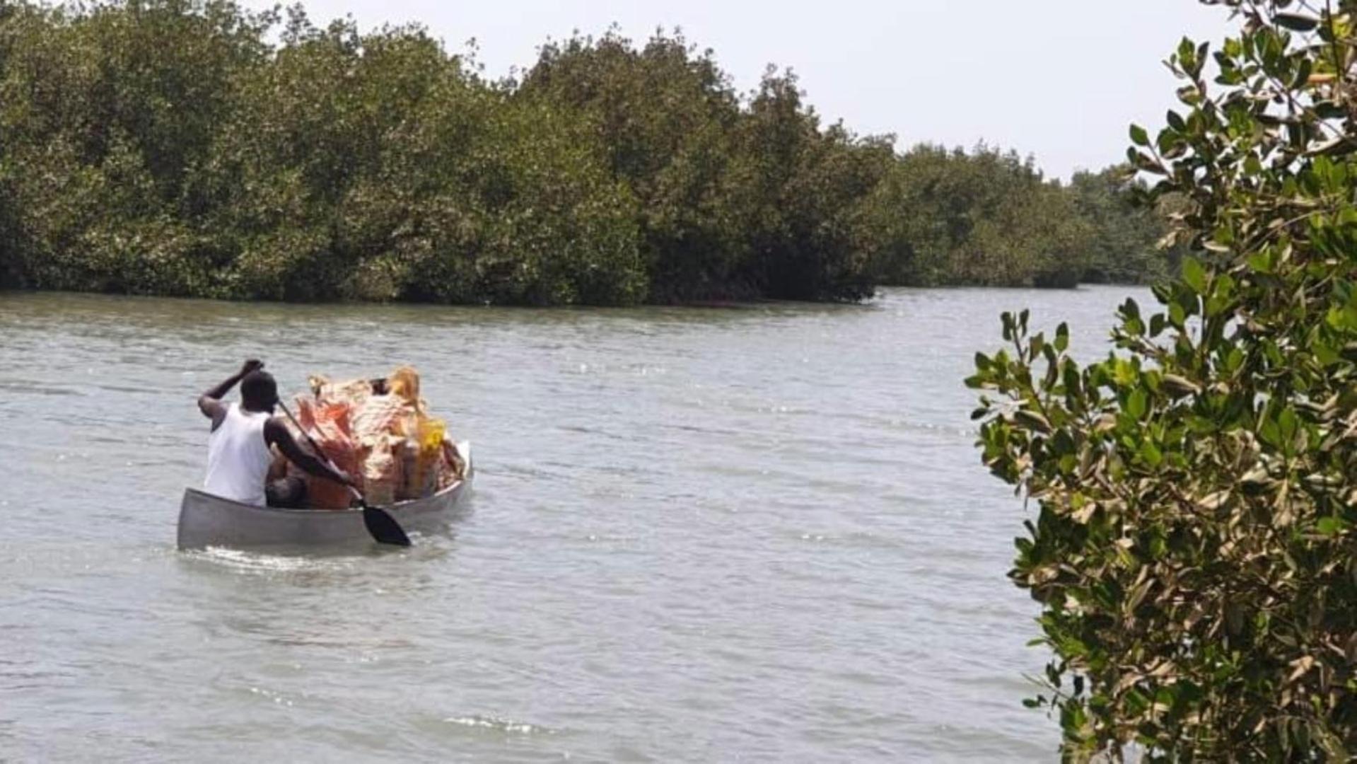 Mangrove Beach Sanyang Kültér fotó